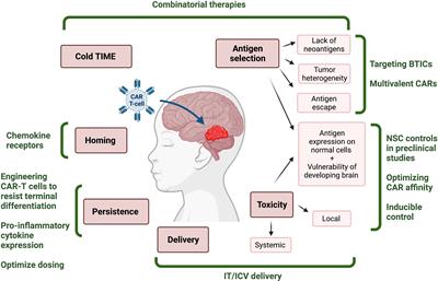 The Road to CAR T-Cell Therapies for Pediatric CNS Tumors: Obstacles and New Avenues